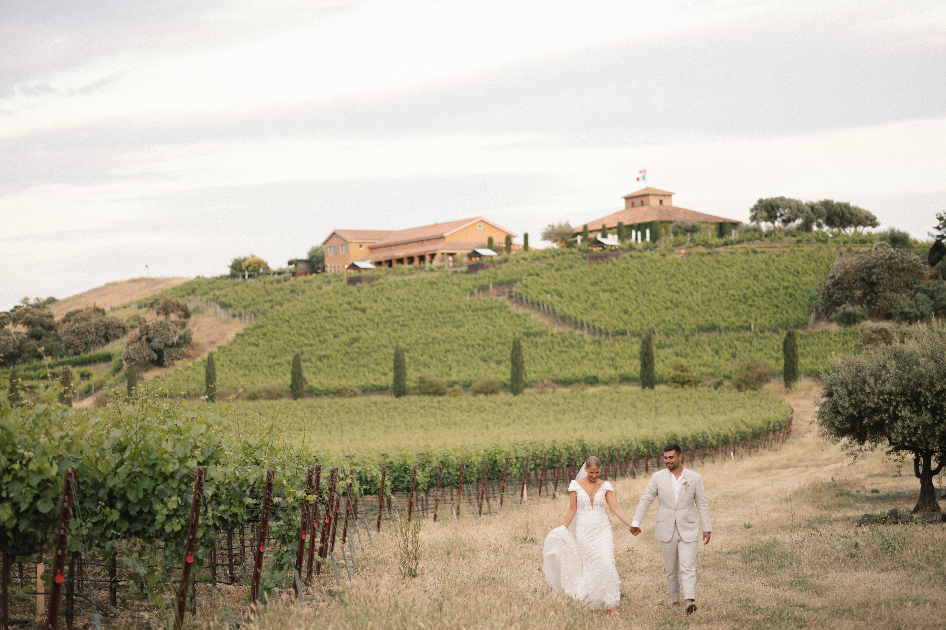 Wedding couple in the Viansa vineyards