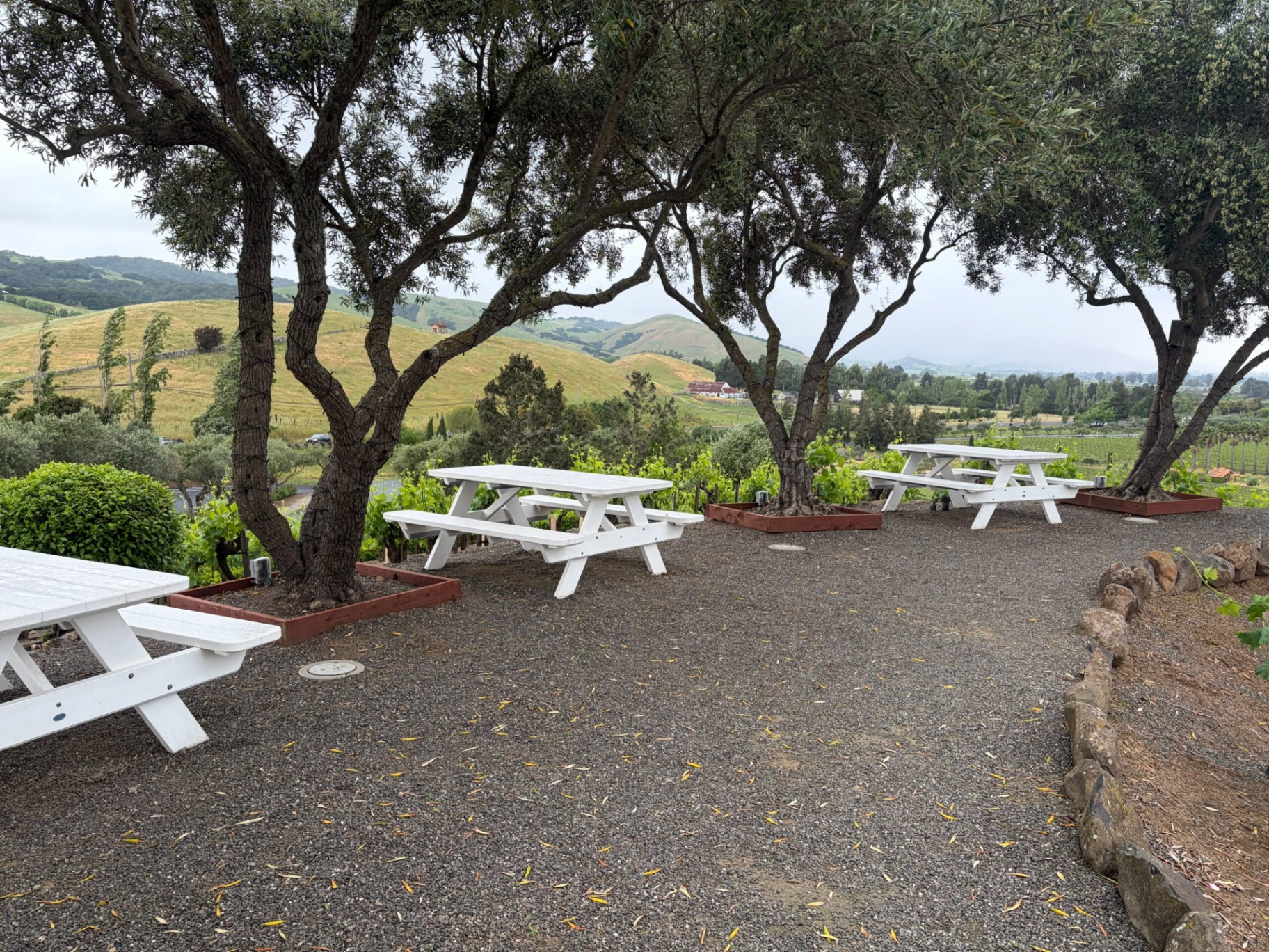 West Patio Table Rental