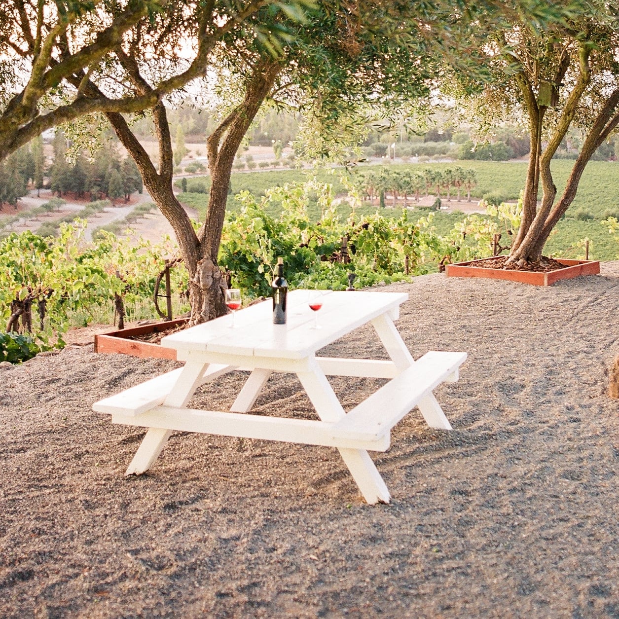 No-Host Tables