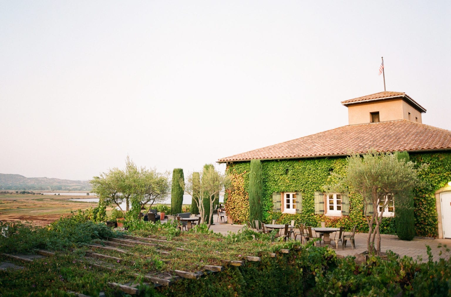 Home - Viansa