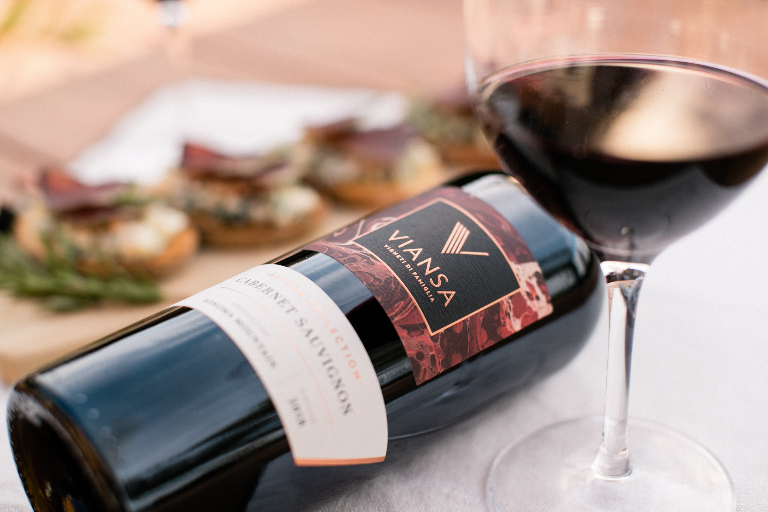 Mike_Larson_0217__D6I0127_ViansaSummer2020