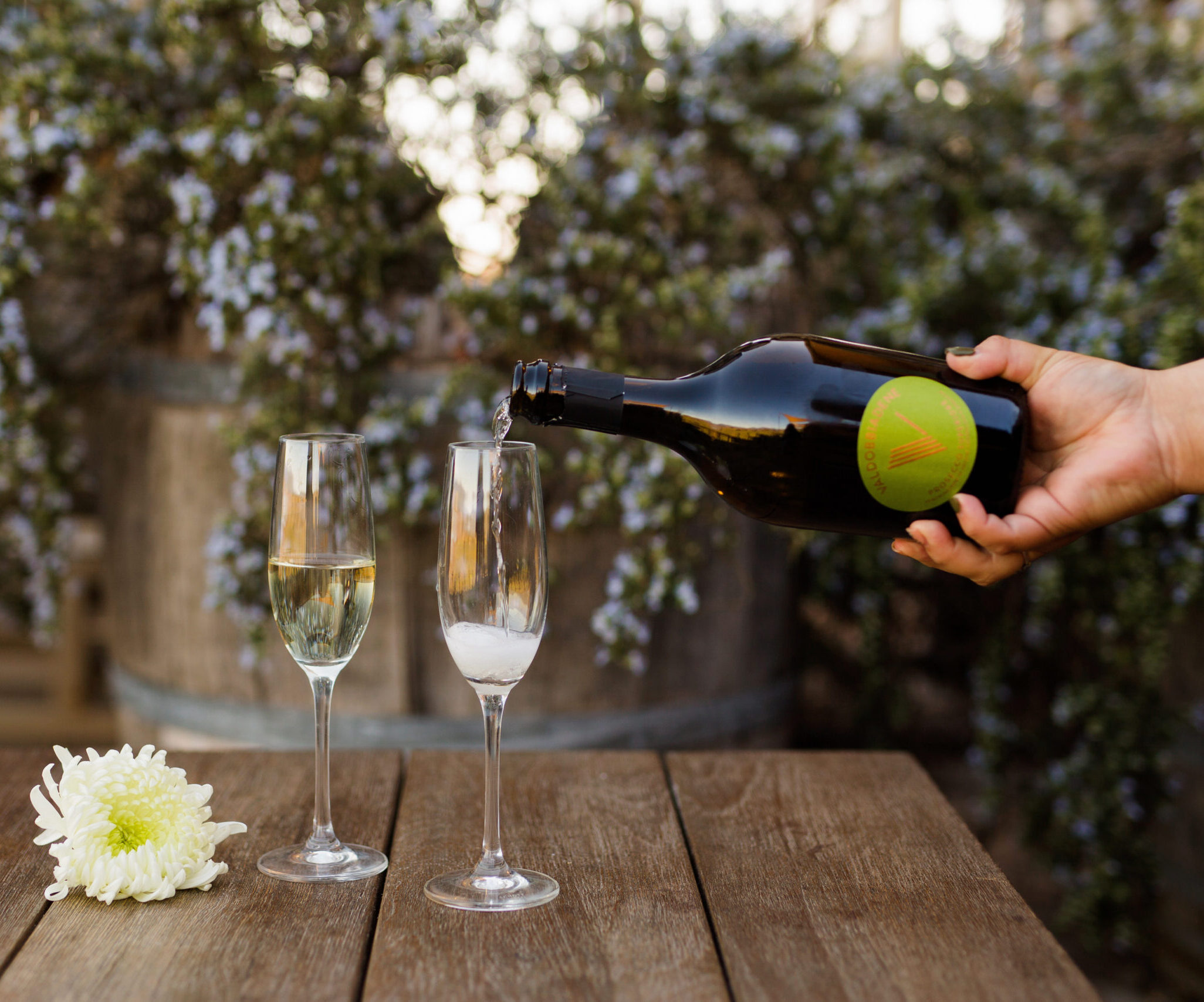 Viansa February Releases