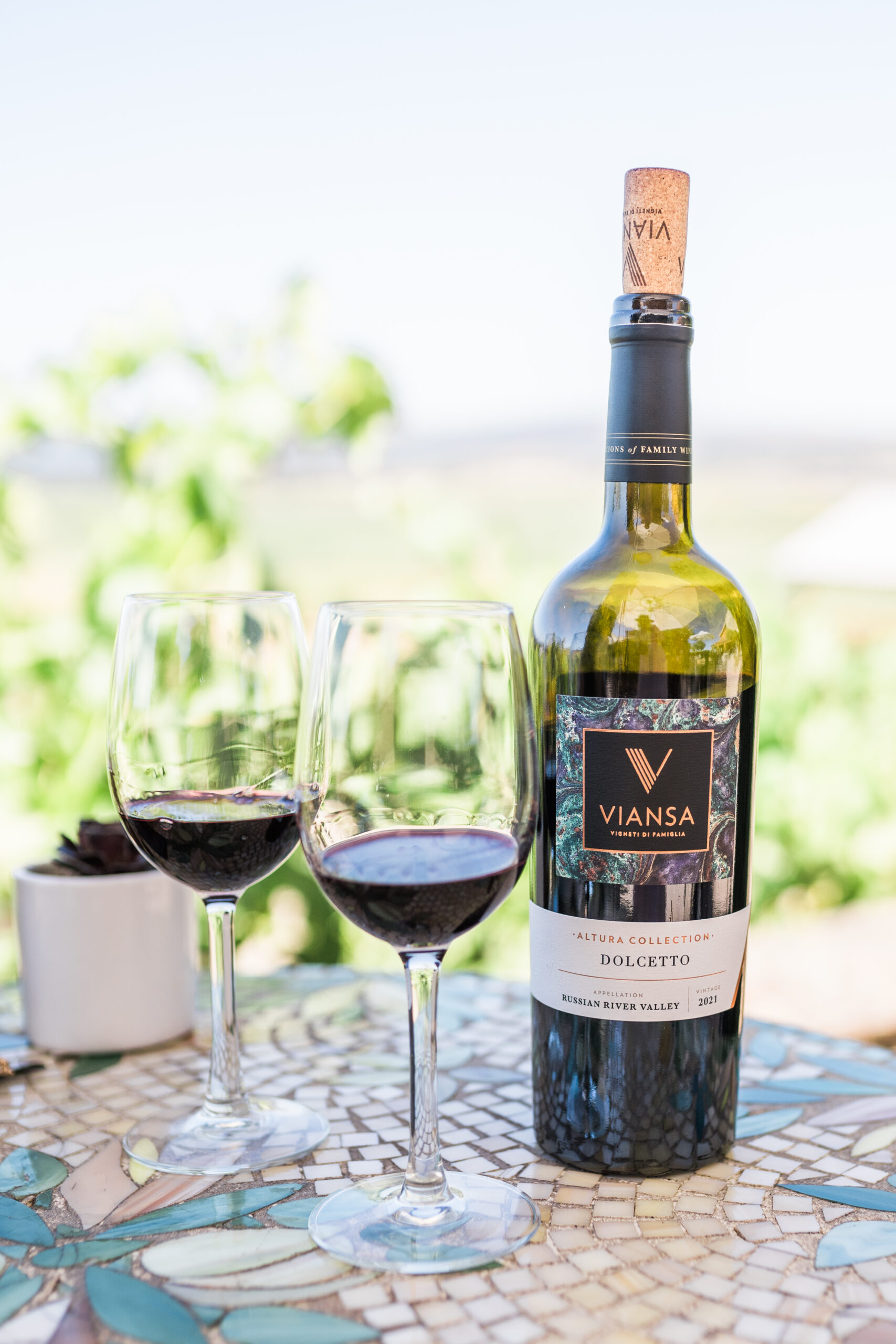 Viansa_Fomo_by_JBJ_Pictures_8