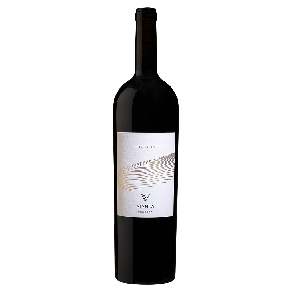 2021 Cielo Trentesimo Barbera Magnum 1000x1000